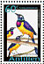 Golden-breasted Starling  Lamprotornis regius