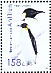 Emperor Penguin  Aptenodytes forsteri