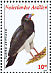 Red-throated Caracara Ibycter americanus