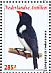 Red-billed Pied Tanager Lamprospiza melanoleuca  2009 Birds Sheet