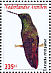 Green-bellied Hummingbird Saucerottia viridigaster  2009 Birds Sheet