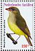 Saffron-crested Tyrant-Manakin  Neopelma chrysocephalum