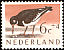 Eurasian Oystercatcher Haematopus ostralegus  1961 Cultural and social relief fund 