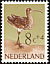 Eurasian Curlew Numenius arquata  1961 Cultural and social relief fund 