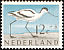 Pied Avocet Recurvirostra avosetta