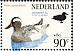 Garganey Spatula querquedula  1994 Fepapost 94 Sheet, p 13Â¼x12Â¾