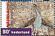 Indian Peafowl Pavo cristatus  2001 Dutch art 10v sheet
