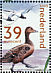 Common Eider Somateria mollissima  2003 The Dutch shallows 4v sheet