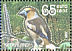 Hawfinch Coccothraustes coccothraustes