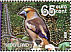 Hawfinch Coccothraustes coccothraustes  2005 100 years of Natuurmonumenten Booklet