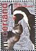 African Penguin Spheniscus demersus  2013 Burgers Zoo Arnhem Prestige booklet