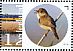 Eurasian Reed Warbler Acrocephalus scirpaceus  2015 Naardermeer Prestige booklet