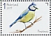 Eurasian Blue Tit Cyanistes caeruleus