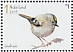 Goldcrest Regulus regulus