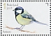 Great Tit Parus major