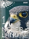 Eurasian Hobby Falco subbuteo  2020 Birds of prey Sheet, sa