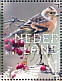 Brambling Fringilla montifringilla  2020 Birds of woods Sheet, sa