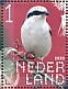 Great Grey Shrike Lanius excubitor  2020 Birds of woods Sheet, sa