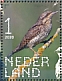 Eurasian Wryneck Jynx torquilla  2020 Birds of woods Sheet, sa