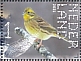 Yellowhammer Emberiza citrinella