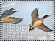 Eurasian Wigeon Mareca penelope  2021 De Onlanden 10v sheet, sa