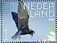 Black Tern Chlidonias niger  2022 Nieuwkoopse Plassen 10v sheet, sa