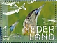 Eurasian Bittern Botaurus stellaris  2022 Nieuwkoopse Plassen 10v sheet, sa