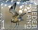 Bar-tailed Godwit Limosa lapponica  2022 Fort Ellewoutsdijk 10v sheet, sa