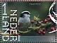 Long-tailed Tit Aegithalos caudatus  2023 Oisterwijk 10v sheet, sa