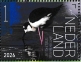 Black-necked Stilt Himantopus mexicanus