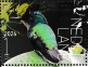 Antillean Crested Hummingbird Orthorhyncus cristatus