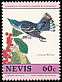 Cerulean Warbler Setophaga cerulea  1985 Audubon 