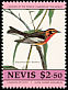 Blackburnian Warbler Setophaga fusca  1985 Audubon 