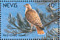 Red-tailed Hawk Buteo jamaicensis  1991 Birds of Nevis Sheet