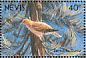 Zenaida Dove Zenaida aurita  1991 Birds of Nevis Sheet