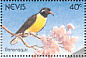 Bananaquit Coereba flaveola  1991 Birds of Nevis Sheet