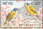 Antillean Euphonia Chlorophonia musica  1991 Birds of Nevis Sheet