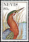 Green Heron Butorides virescens  1995 Waterbirds 