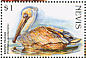 Brown Pelican Pelecanus occidentalis  1998 Endangered species 9v sheet