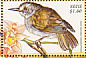 Grey-backed Camaroptera Camaroptera brevicaudata  1999 Birds of the world Sheet