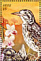 Groundscraper Thrush Turdus litsitsirupa  1999 Birds of the world  MS