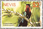 Purple-throated Carib Eulampis jugularis  2005 Hummingbirds Sheet