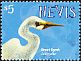 Great Egret Ardea alba  2010 Birds of Nevis 