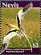 White-tailed Tropicbird Phaethon lepturus  2010 Birds of Nevis Sheet