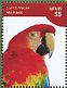 Scarlet Macaw Ara macao  2014 Macaws Sheet