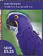 Hyacinth Macaw Anodorhynchus hyacinthinus  2014 Macaws Sheet