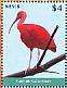 Scarlet Ibis Eudocimus ruber