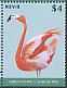 American Flamingo Phoenicopterus ruber  2015 Pink birds Sheet