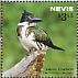 Amazon Kingfisher Chloroceryle amazona  2015 Kingfishers Sheet