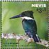 Green Kingfisher Chloroceryle americana  2015 Kingfishers Sheet